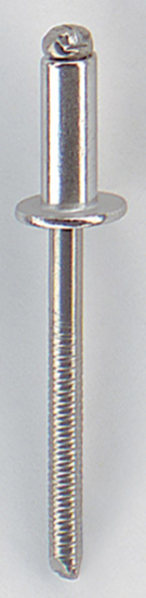 MFX RIVET STAINLESS STEEL. DH 4.8X10 R105148101 3342842