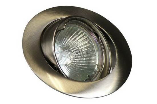 INBOUWSPOT KANTELBAAR Ø50MM LAMP ALUMINIUM GEBORSTELD 47044 3346948