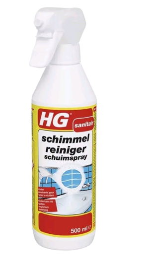 HG SCHIMMELREINIGER SCHUIMSPRAY 14738N 500 ML  3352578