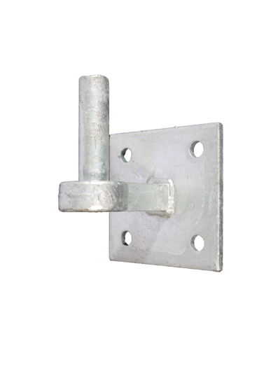 DUIM ROND19MM OP PLAAT 10X10 FV 818313.05 3350503