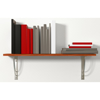 FISCHER PLAATBEVESTIGING PD 10 (100ST) 15935 3344000