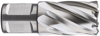 HSS KERNBOOR SILVER-LINE, WELDON 19, ø12X30 536.1200W 3356460