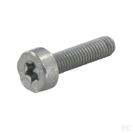 Afbeeldingen van CILINDERKOPBOUT M5X20MM - TORX (INNER SPLINE)