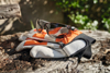 Afbeeldingen van STIHL VEILIGHEIDSBRIL FUNCTION SLIM GETINT