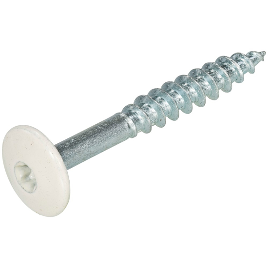 Afbeeldingen van HPL SCHROEF RVS-A2 TX-20 PARELWIT RAL1013 4.8X25 (100)