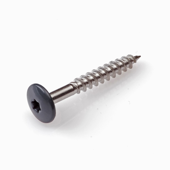 Afbeeldingen van HPL SCHROEF RVS-A2 TX-20 ANTRACIETGRIJS RAL7016 4.8X32 (100)