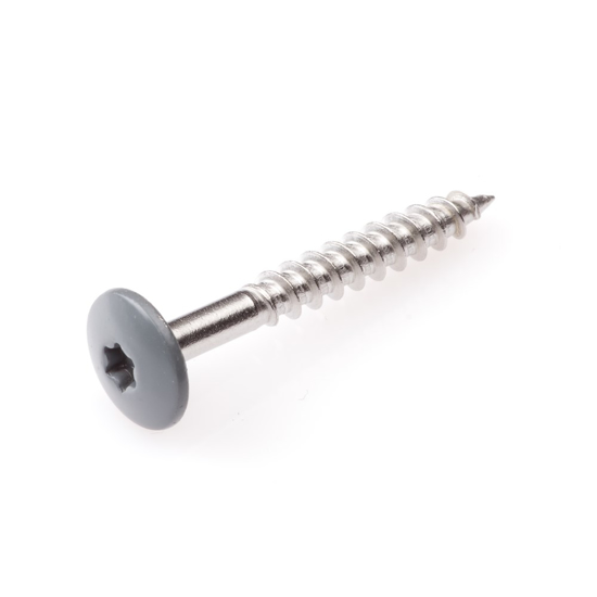 Afbeeldingen van HPL SCHROEF RVS-A2 TX-20 BAZALTGRIJS RAL7012 4.8X25 (100)